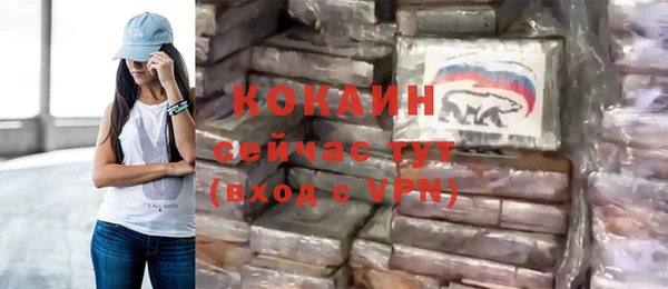стаф Гусь-Хрустальный