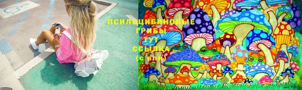 стаф Гусь-Хрустальный