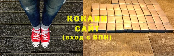 стаф Гусь-Хрустальный