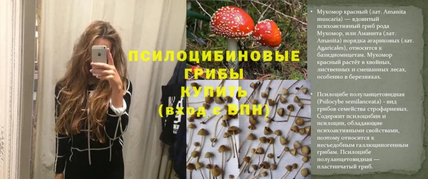 стаф Гусь-Хрустальный
