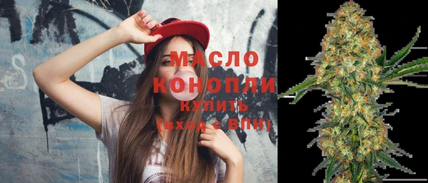 стаф Гусь-Хрустальный
